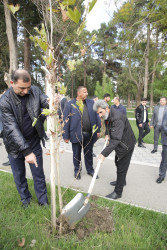 Xaçmaz rayonunda növbəti ağacəkmə aksiyası keçirilib.