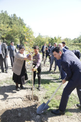 Qaraqurdlu kəndində sakinlərin müraciət və təklifləri dinlənilib.