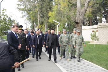 Xaçmaz rayonunda növbəti ağacəkmə aksiyası keçirilib.