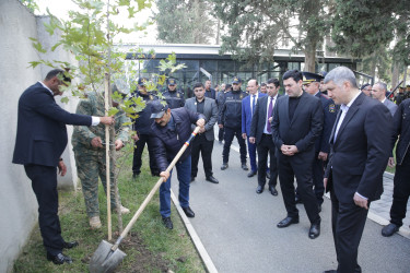 Xaçmaz rayonunda növbəti ağacəkmə aksiyası keçirilib.