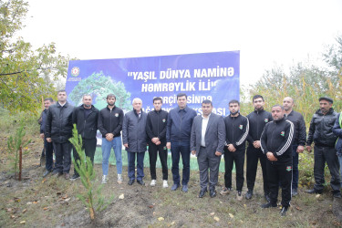 Xaçmaz rayonunda növbəti ağacəkmə aksiyası Aşağı Ləgər kəndində keçirilib.