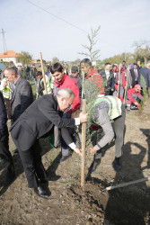 Xaçmaz rayonunda kütləvi ağacəkmə aksiyası bu dəfə Çinartala kəndində təşkil olunub.