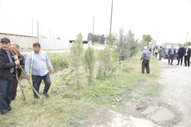 Xaçmaz rayonunda “Yaşıllaşdırma Marafonu” davam edir.