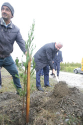 Xaçmaz rayonunda növbəti ağacəkmə aksiyası Aşağı Ləgər kəndində keçirilib.