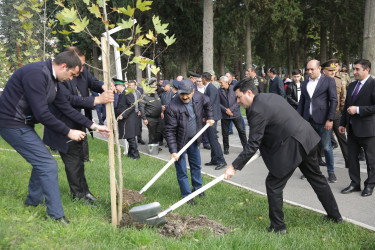 Xaçmaz rayonunda növbəti ağacəkmə aksiyası keçirilib.