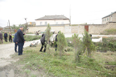 Xaçmaz rayonunda “Yaşıllaşdırma Marafonu” davam edir.