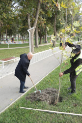 Xaçmaz rayonunda növbəti ağacəkmə aksiyası keçirilib.