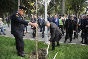 Xaçmaz rayonunda növbəti ağacəkmə aksiyası keçirilib.